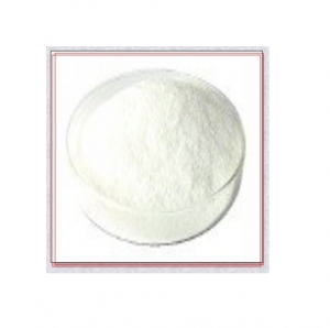 Papain Crude Powder